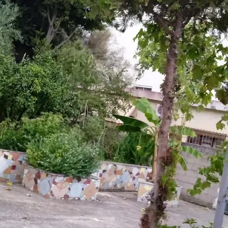 Oasis * Vlorë