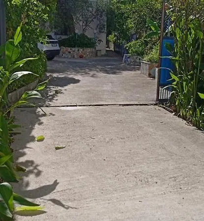 Oasis