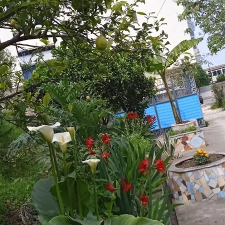 Oasis * Vlorë