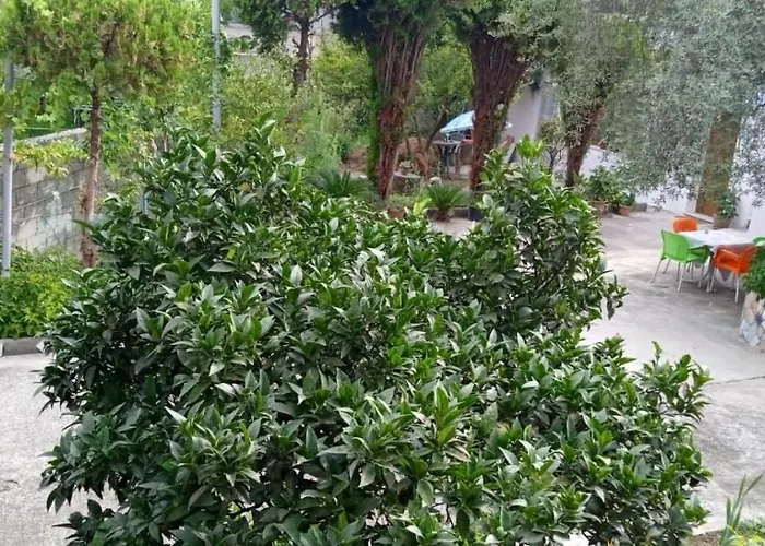 Oasis