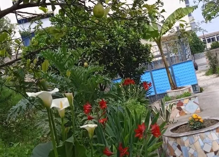 Oasis * Vlorë