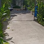Oasis