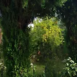 Oasis Nyaraló Vlora
