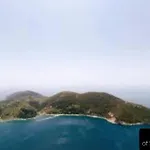 Oasis