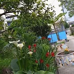 Oasis * Vlora