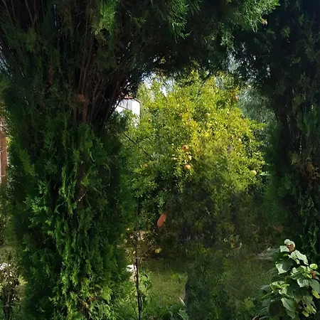 Oasis 펜션 Vlorë