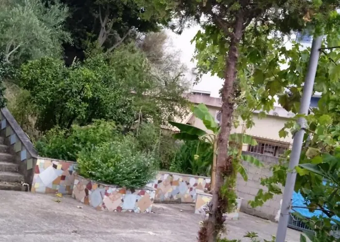 Oasis * Vlorë