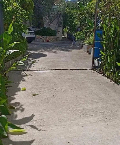 Oasis