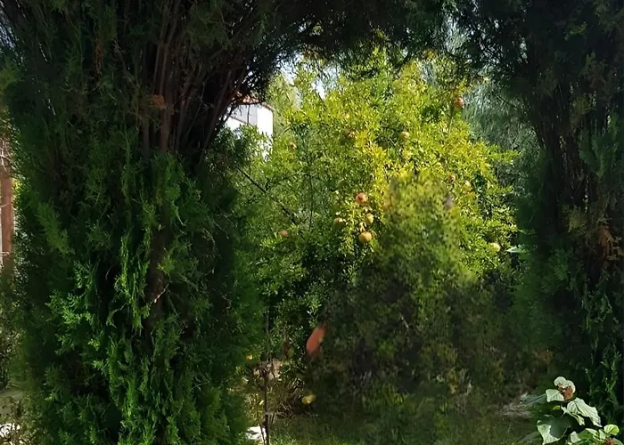 Oasis 度假居 Vlorë