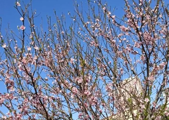 Oasis 度假居 *