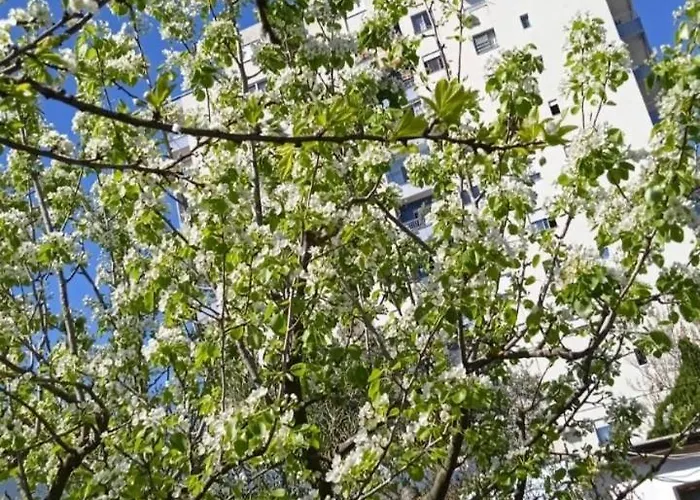 度假居 Oasis